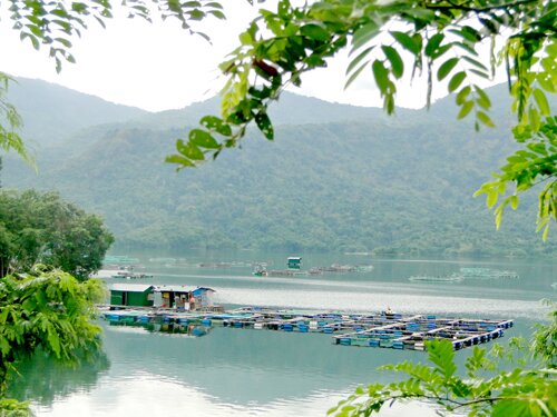 Sổ tay du lịch so tay du lich Sotaydulich Sotay Dulich Khampha Kham Pha Bui Chuyến thăm Đa Mi nàng công chúa ngủ trong rừng