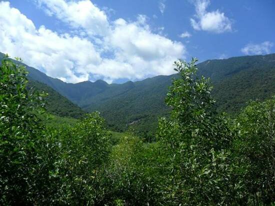 Sổ tay du lịch so tay du lich Sotaydulich Sotay Dulich Khampha Kham Pha Bui Dã ngoại ở suối Voi