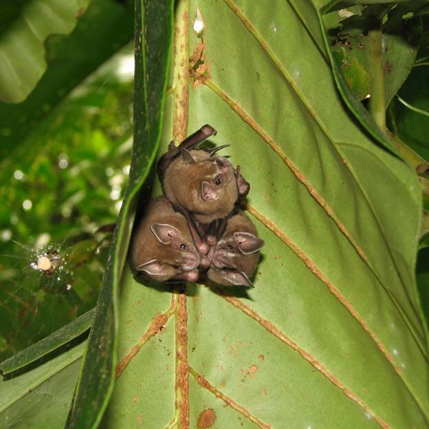 Sổ tay du lịch so tay du lich Sotaydulich Sotay Dulich Khampha Kham Pha Bui Khám phá thiên nhiên ở Costa Rica