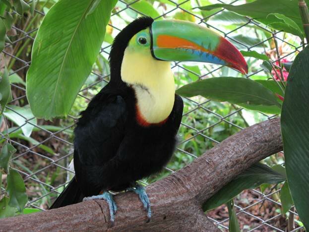 Sổ tay du lịch so tay du lich Sotaydulich Sotay Dulich Khampha Kham Pha Bui Khám phá thiên nhiên ở Costa Rica