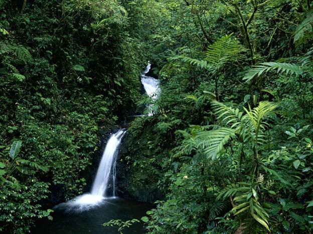 Sổ tay du lịch so tay du lich Sotaydulich Sotay Dulich Khampha Kham Pha Bui Khám phá thiên nhiên ở Costa Rica