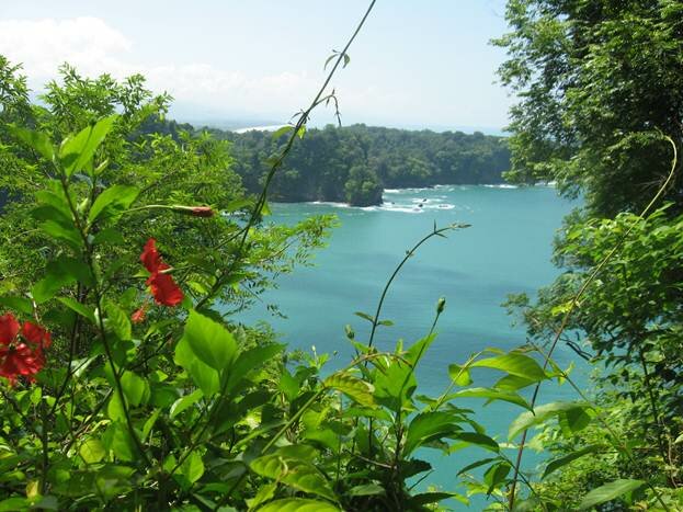 Sổ tay du lịch so tay du lich Sotaydulich Sotay Dulich Khampha Kham Pha Bui Khám phá thiên nhiên ở Costa Rica