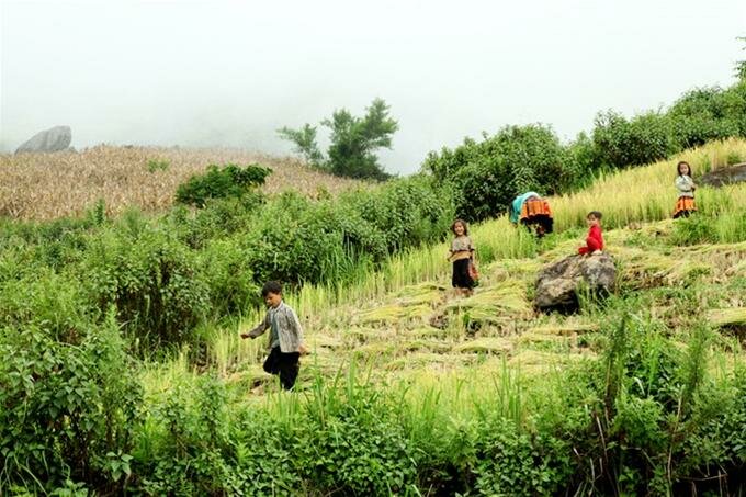 Sổ tay du lịch so tay du lich Sotaydulich Sotay Dulich Khampha Kham Pha Bui Bắc Yên bài ca trên núi