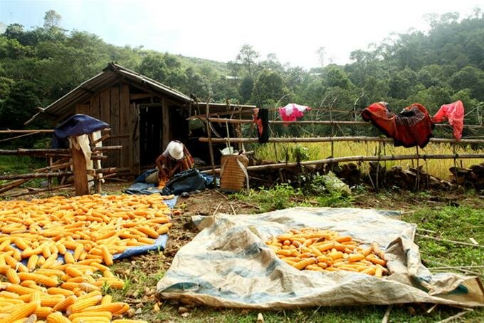 Sổ tay du lịch so tay du lich Sotaydulich Sotay Dulich Khampha Kham Pha Bui Bắc Yên bài ca trên núi