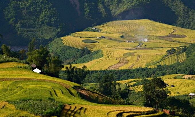 Sổ tay du lịch so tay du lich Sotaydulich Sotay Dulich Khampha Kham Pha Bui Mùa vàng Bát Xát