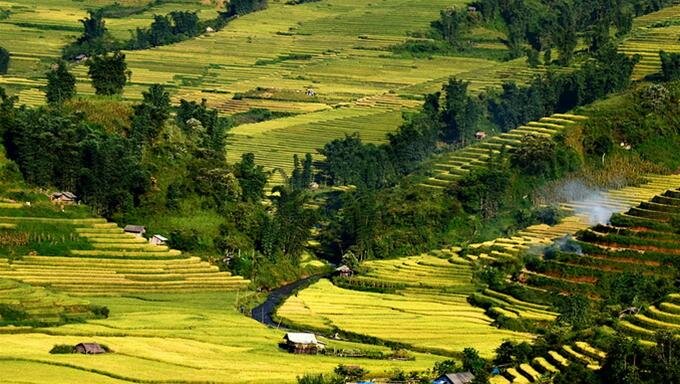 Sổ tay du lịch so tay du lich Sotaydulich Sotay Dulich Khampha Kham Pha Bui Mùa vàng Bát Xát