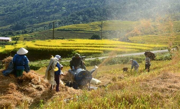 Sổ tay du lịch so tay du lich Sotaydulich Sotay Dulich Khampha Kham Pha Bui Mùa vàng Bát Xát