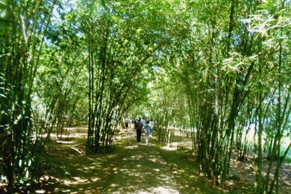 Sổ tay du lịch so tay du lich Sotaydulich Sotay Dulich Khampha Kham Pha Bui Địa đạo Vịnh Mốc