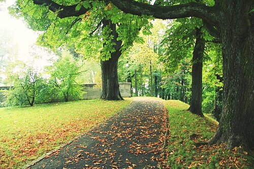 Sổ tay du lịch so tay du lich Sotaydulich Sotay Dulich Khampha Kham Pha Bui Vẻ thanh bình của Bern khi vào thu