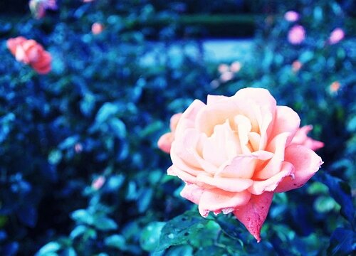 Sổ tay du lịch so tay du lich Sotaydulich Sotay Dulich Khampha Kham Pha Bui Vẻ thanh bình của Bern khi vào thu