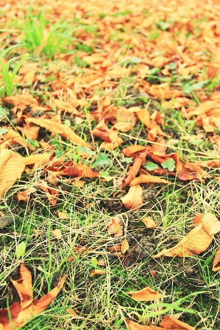 Sổ tay du lịch so tay du lich Sotaydulich Sotay Dulich Khampha Kham Pha Bui Vẻ thanh bình của Bern khi vào thu