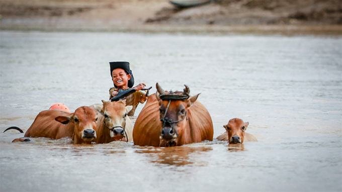 Sổ tay du lịch so tay du lich Sotaydulich Sotay Dulich Khampha Kham Pha Bui Đi giữa chảo lửa Tây nguyên