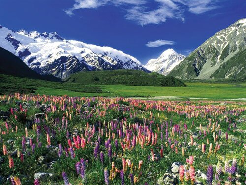 Sổ tay du lịch so tay du lich Sotaydulich Sotay Dulich Khampha Kham Pha Bui Du xuân Wellington