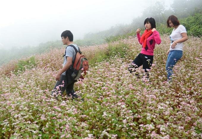 Sổ tay du lịch so tay du lich Sotaydulich Sotay Dulich Khampha Kham Pha Bui Hà Giang mùa hoa tam giác mạch