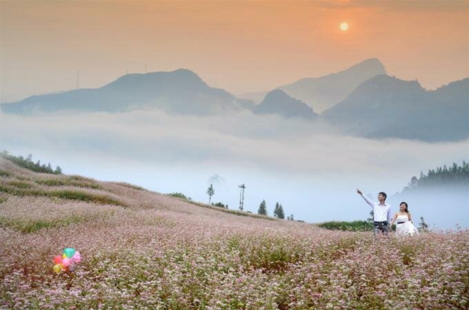 Sổ tay du lịch so tay du lich Sotaydulich Sotay Dulich Khampha Kham Pha Bui Hà Giang mùa hoa tam giác mạch