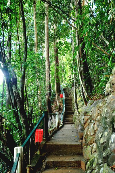 Sổ tay du lịch so tay du lich Sotaydulich Sotay Dulich Khampha Kham Pha Bui Thác Dambri giữa đại ngàn xanh