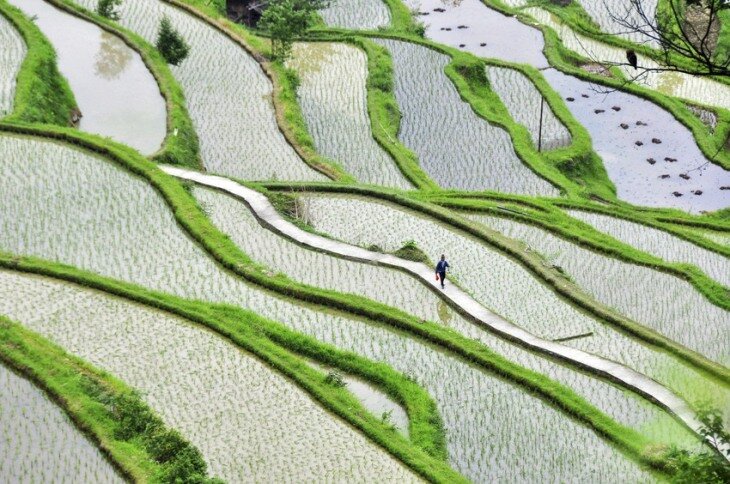 Sổ tay du lịch so tay du lich Sotaydulich Sotay Dulich Khampha Kham Pha Bui Những hình ảnh khoảnh khắc đẹp của năm 2013