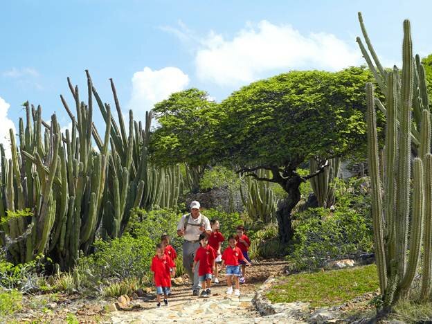 Sổ tay du lịch so tay du lich Sotaydulich Sotay Dulich Khampha Kham Pha Bui Aruba điểm du lịch biển tuyệt vời