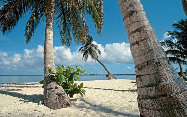 Sổ tay du lịch so tay du lich Sotaydulich Sotay Dulich Khampha Kham Pha Bui Aruba điểm du lịch biển tuyệt vời