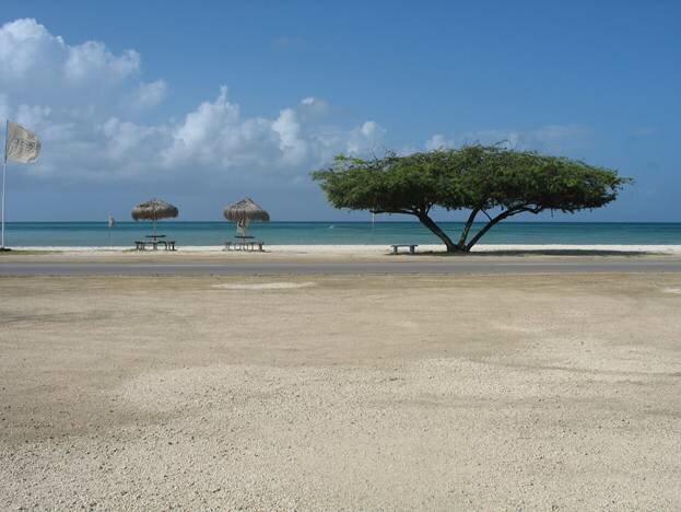 Sổ tay du lịch so tay du lich Sotaydulich Sotay Dulich Khampha Kham Pha Bui Aruba điểm du lịch biển tuyệt vời