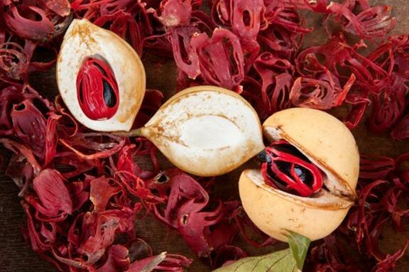 Sổ tay du lịch so tay du lich Sotaydulich Sotay Dulich Khampha Kham Pha Bui Grenada Quốc đảo của sự thanh bình