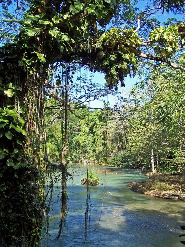 Sổ tay du lịch so tay du lich Sotaydulich Sotay Dulich Khampha Kham Pha Bui Jamaica Thiên đường của những thiên đường