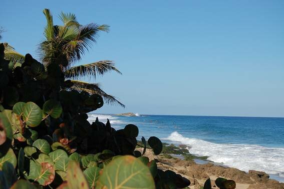 Sổ tay du lịch so tay du lich Sotaydulich Sotay Dulich Khampha Kham Pha Bui Puerto Rico Thiên đường nhiệt đới