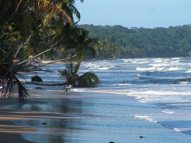 Sổ tay du lịch so tay du lich Sotaydulich Sotay Dulich Khampha Kham Pha Bui Trinidad Tobago Quốc đảo của Carnaval