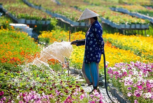 Sổ tay du lịch so tay du lich Sotaydulich Sotay Dulich Khampha Kham Pha Bui Tết sớm trên làng hoa Sa Đéc