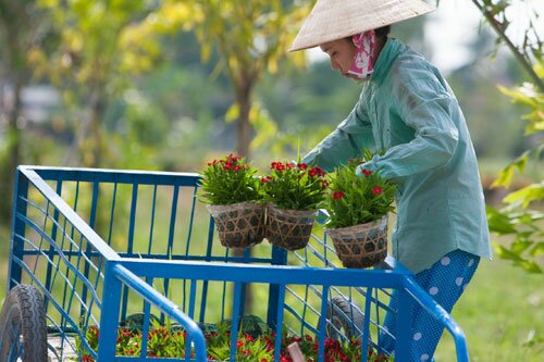 Sổ tay du lịch so tay du lich Sotaydulich Sotay Dulich Khampha Kham Pha Bui Tết sớm trên làng hoa Sa Đéc