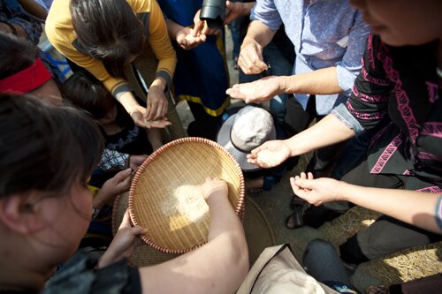 Sổ tay du lịch so tay du lich Sotaydulich Sotay Dulich Khampha Kham Pha Bui Sôi động lễ hội nấu cơm thi ở làng Thị Cấm