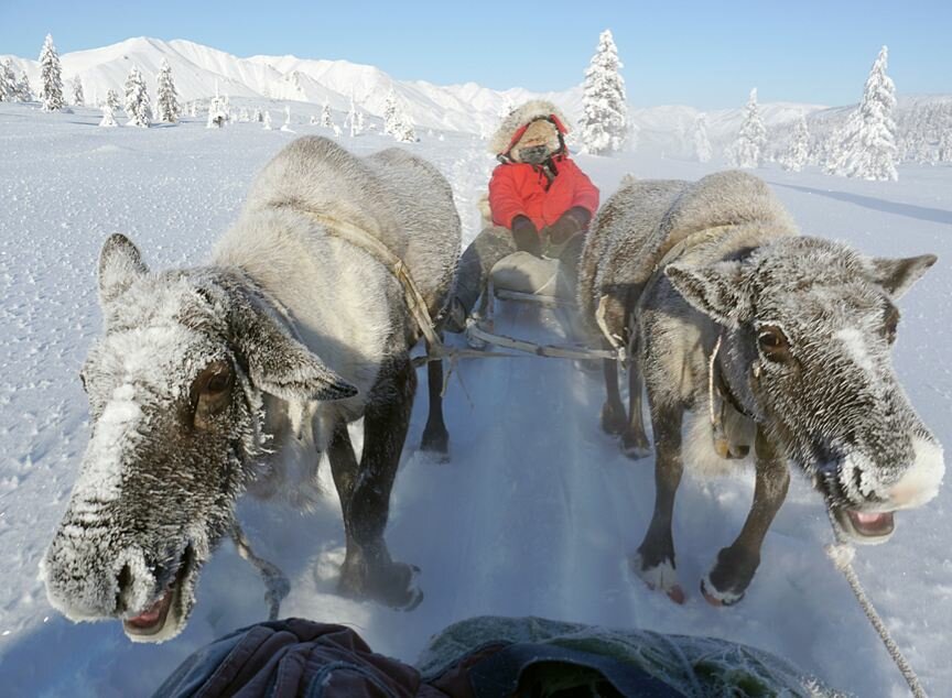 Sổ tay du lịch so tay du lich Sotaydulich Sotay Dulich Khampha Kham Pha Bui Quá đẹp Oymyakon mùa đông