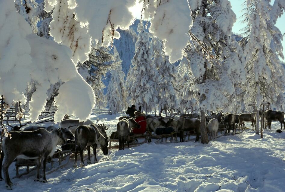 Sổ tay du lịch so tay du lich Sotaydulich Sotay Dulich Khampha Kham Pha Bui Quá đẹp Oymyakon mùa đông