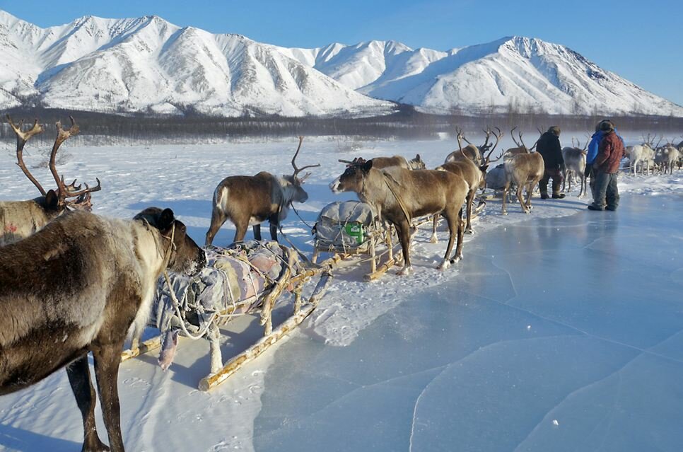 Sổ tay du lịch so tay du lich Sotaydulich Sotay Dulich Khampha Kham Pha Bui Quá đẹp Oymyakon mùa đông