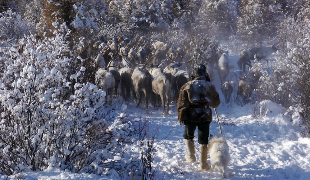 Sổ tay du lịch so tay du lich Sotaydulich Sotay Dulich Khampha Kham Pha Bui Quá đẹp Oymyakon mùa đông