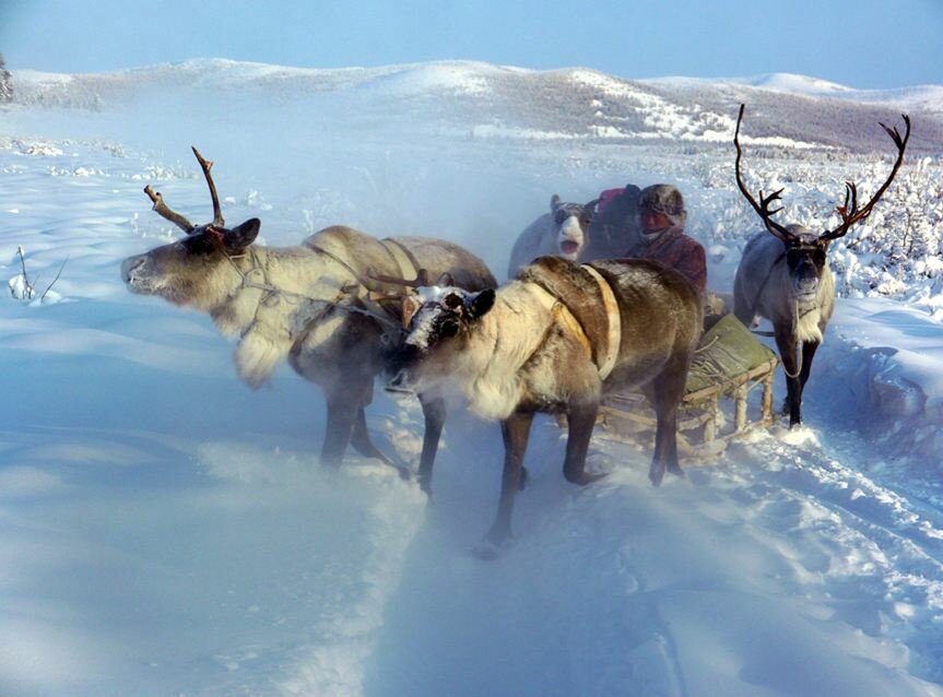 Sổ tay du lịch so tay du lich Sotaydulich Sotay Dulich Khampha Kham Pha Bui Quá đẹp Oymyakon mùa đông