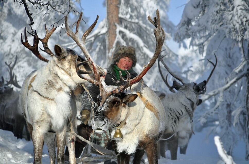 Sổ tay du lịch so tay du lich Sotaydulich Sotay Dulich Khampha Kham Pha Bui Quá đẹp Oymyakon mùa đông