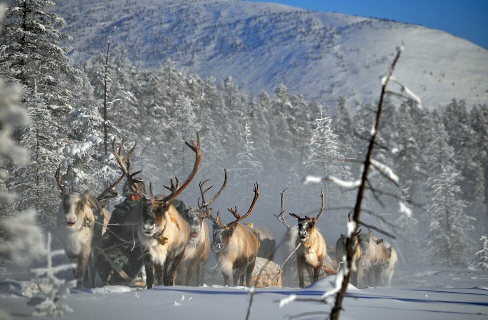 Sổ tay du lịch so tay du lich Sotaydulich Sotay Dulich Khampha Kham Pha Bui Quá đẹp Oymyakon mùa đông