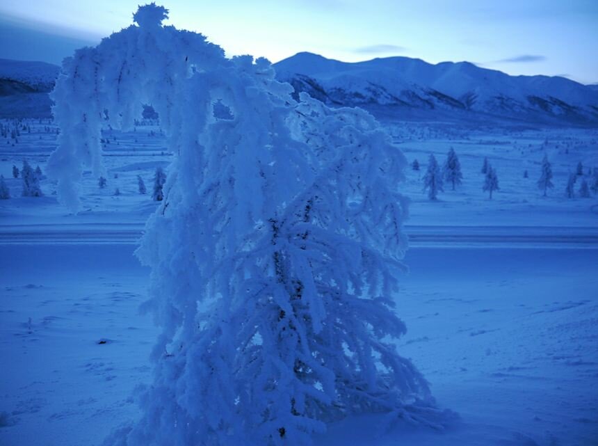 Sổ tay du lịch so tay du lich Sotaydulich Sotay Dulich Khampha Kham Pha Bui Quá đẹp Oymyakon mùa đông