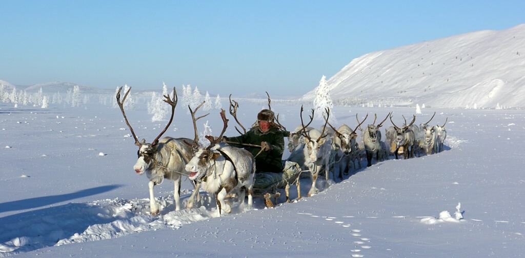 Sổ tay du lịch so tay du lich Sotaydulich Sotay Dulich Khampha Kham Pha Bui Quá đẹp Oymyakon mùa đông