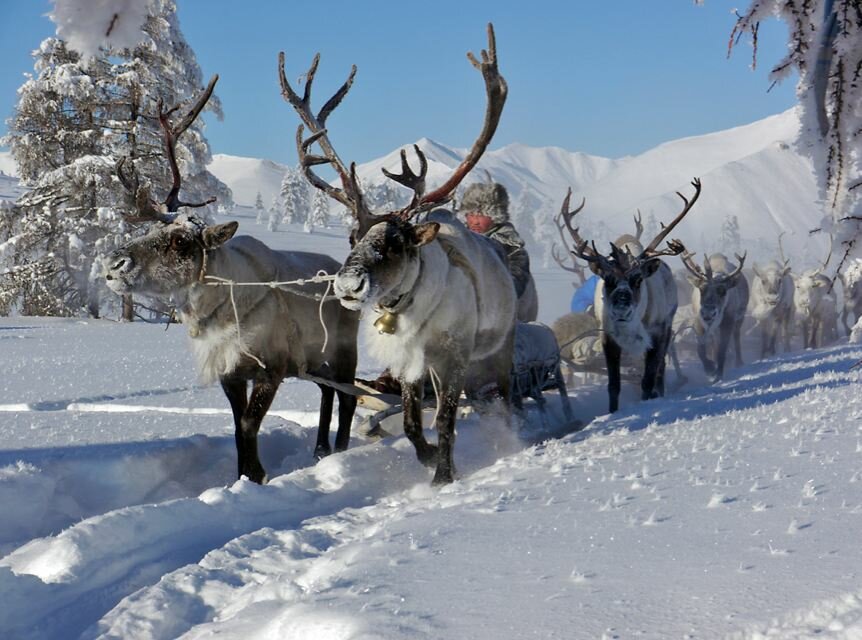 Sổ tay du lịch so tay du lich Sotaydulich Sotay Dulich Khampha Kham Pha Bui Quá đẹp Oymyakon mùa đông