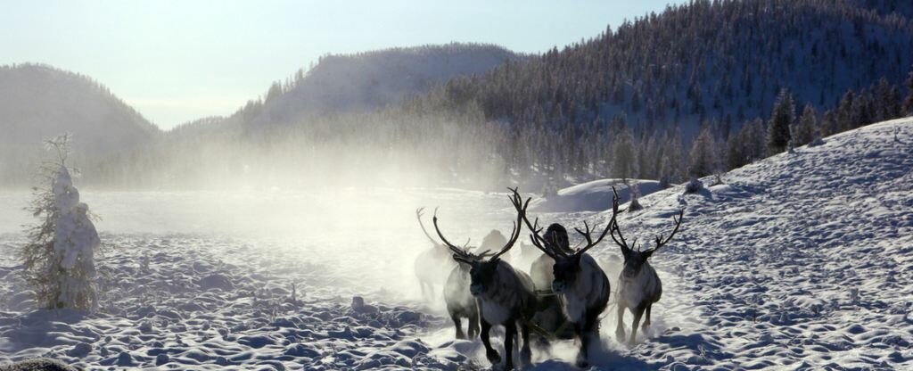 Sổ tay du lịch so tay du lich Sotaydulich Sotay Dulich Khampha Kham Pha Bui Quá đẹp Oymyakon mùa đông
