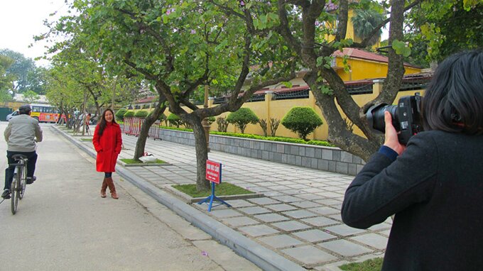 Sổ tay du lịch so tay du lich Sotaydulich Sotay Dulich Khampha Kham Pha Bui Hoa ban nở sớm giữa lòng Hà Nội