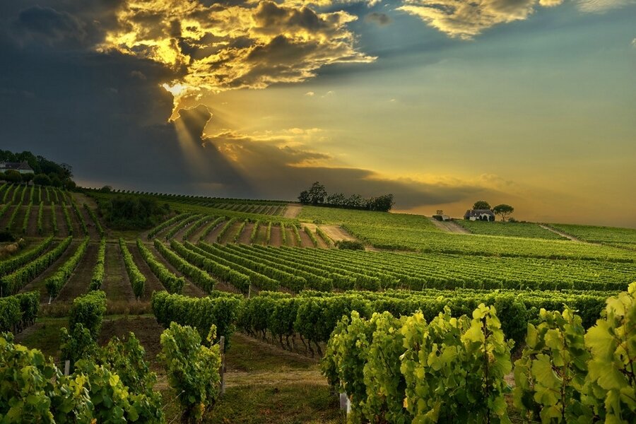 Sổ tay du lịch so tay du lich Sotaydulich Sotay Dulich Khampha Kham Pha Bui Bordeaux thành phố của rượu vang