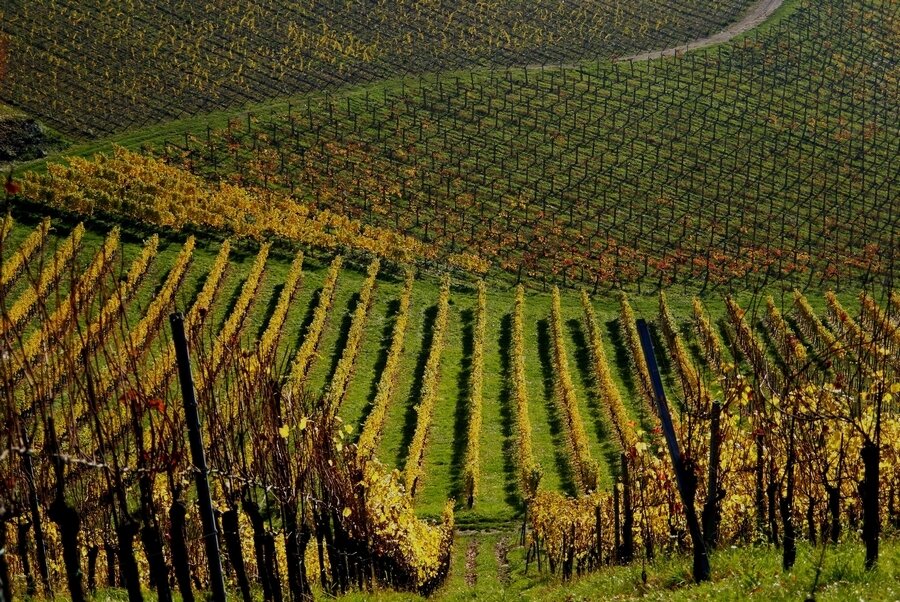Sổ tay du lịch so tay du lich Sotaydulich Sotay Dulich Khampha Kham Pha Bui Bordeaux thành phố của rượu vang