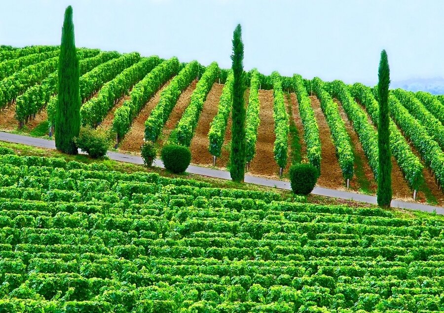Sổ tay du lịch so tay du lich Sotaydulich Sotay Dulich Khampha Kham Pha Bui Bordeaux thành phố của rượu vang