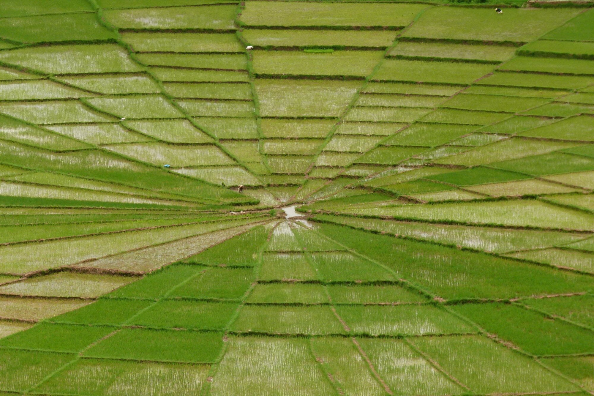 Sổ tay du lịch so tay du lich Sotaydulich Sotay Dulich Khampha Kham Pha Bui Lãng đãng quần đảo Flores vùng đất bị lãng quên