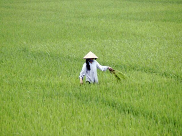 Sổ tay du lịch so tay du lich Sotaydulich Sotay Dulich Khampha Kham Pha Bui Bình yên như Thái Bình