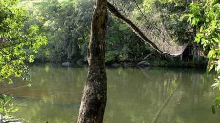 Sổ tay du lịch so tay du lich Sotaydulich Sotay Dulich Khampha Kham Pha Bui Mạo hiểm với cầu treo