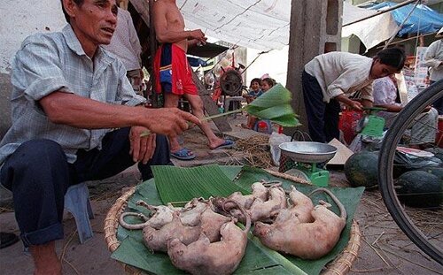 Sổ tay du lịch so tay du lich Sotaydulich Sotay Dulich Khampha Kham Pha Bui 10 món ăn đặc biệt nhất thế giới